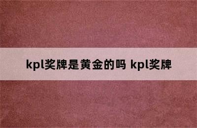 kpl奖牌是黄金的吗 kpl奖牌